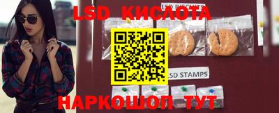 трава Кандалакша