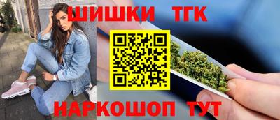 Альфа ПВП Камышлов