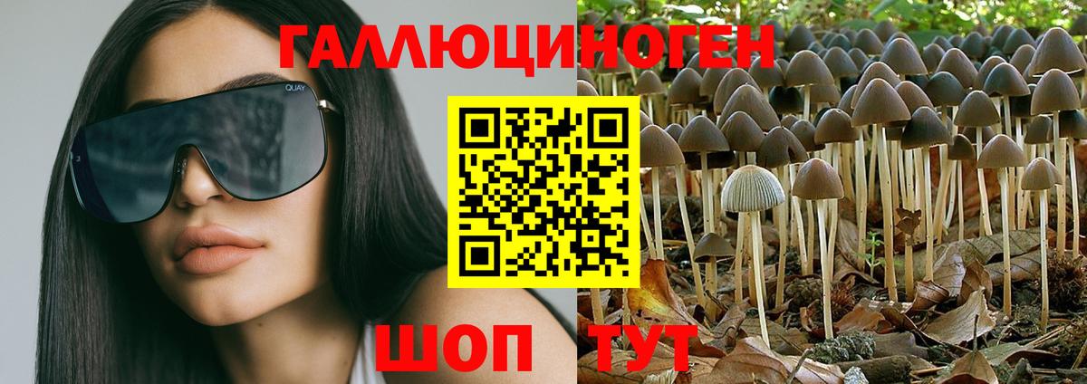 Псилоцибиновые грибы ЛСД  Вход с VPN  Раменское 
